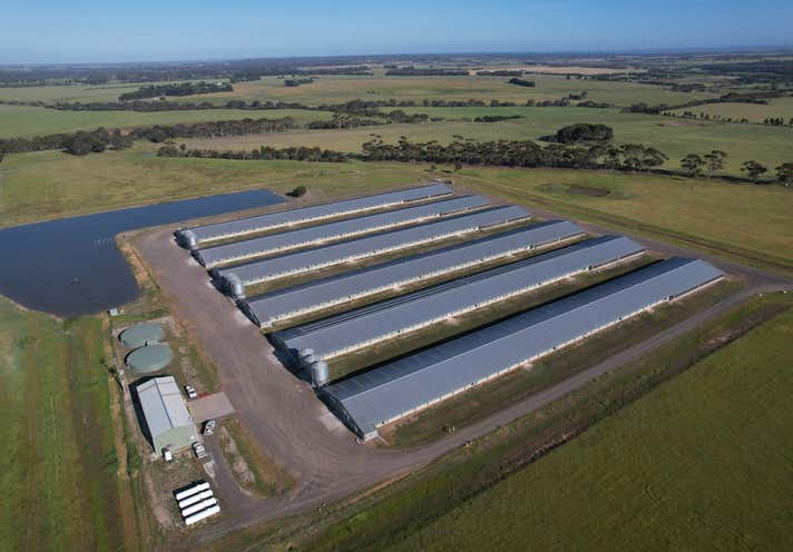 how-to-start-a-poultry-farming-business-in-the-uk