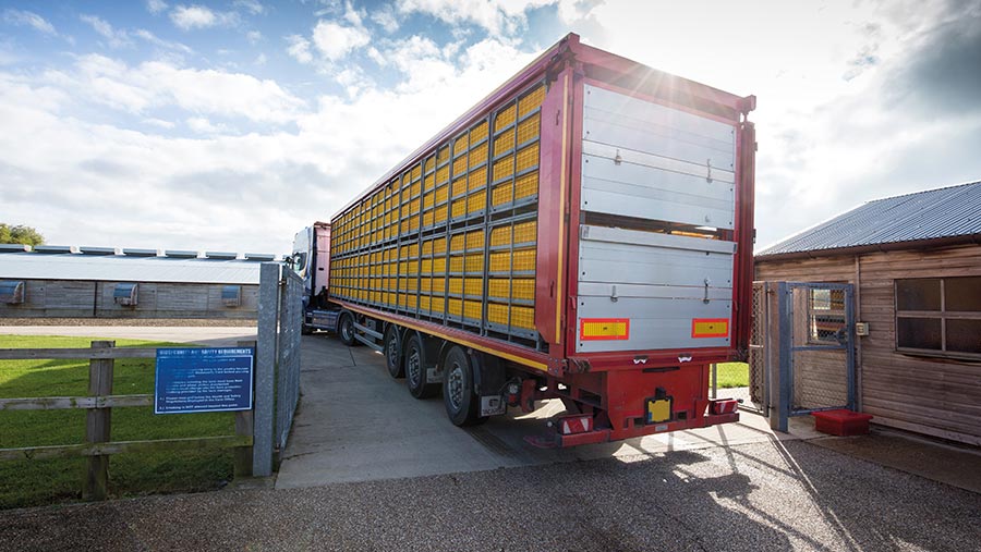 Production Cycle Management