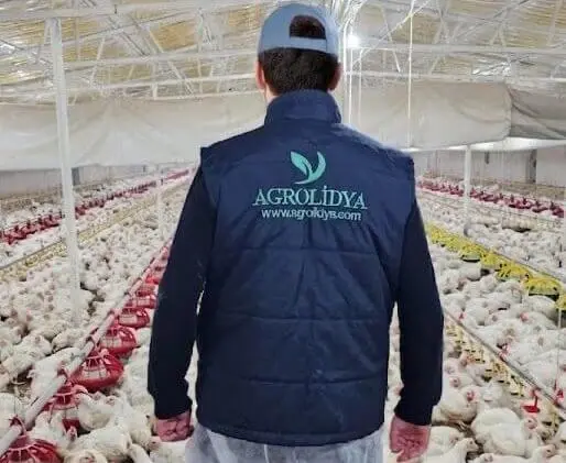 Agrolidya broiler farm investment facility