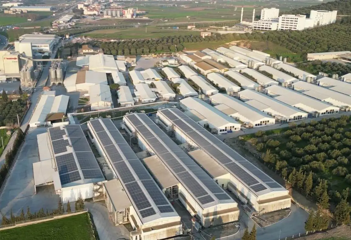 Large-scale broiler farm facility