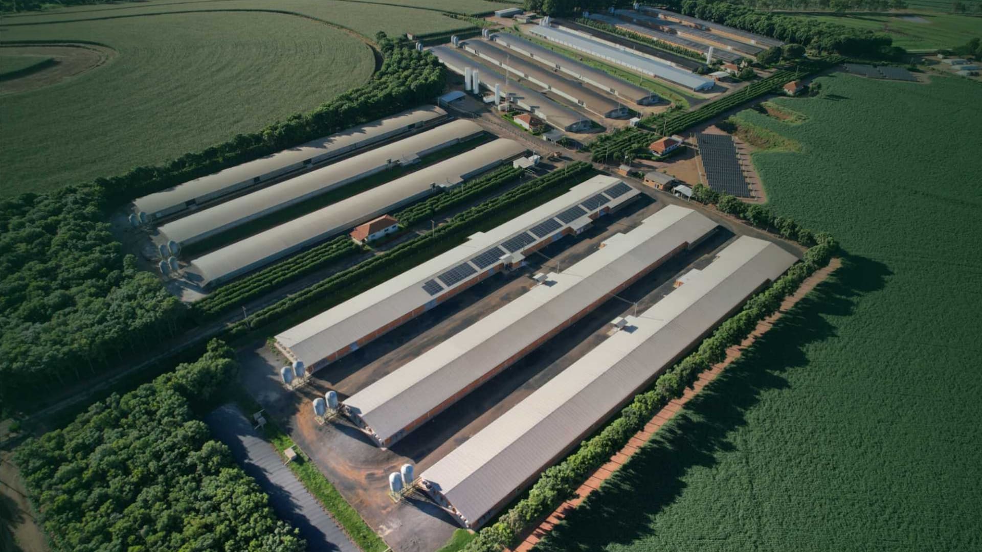 Integrated poultry complex