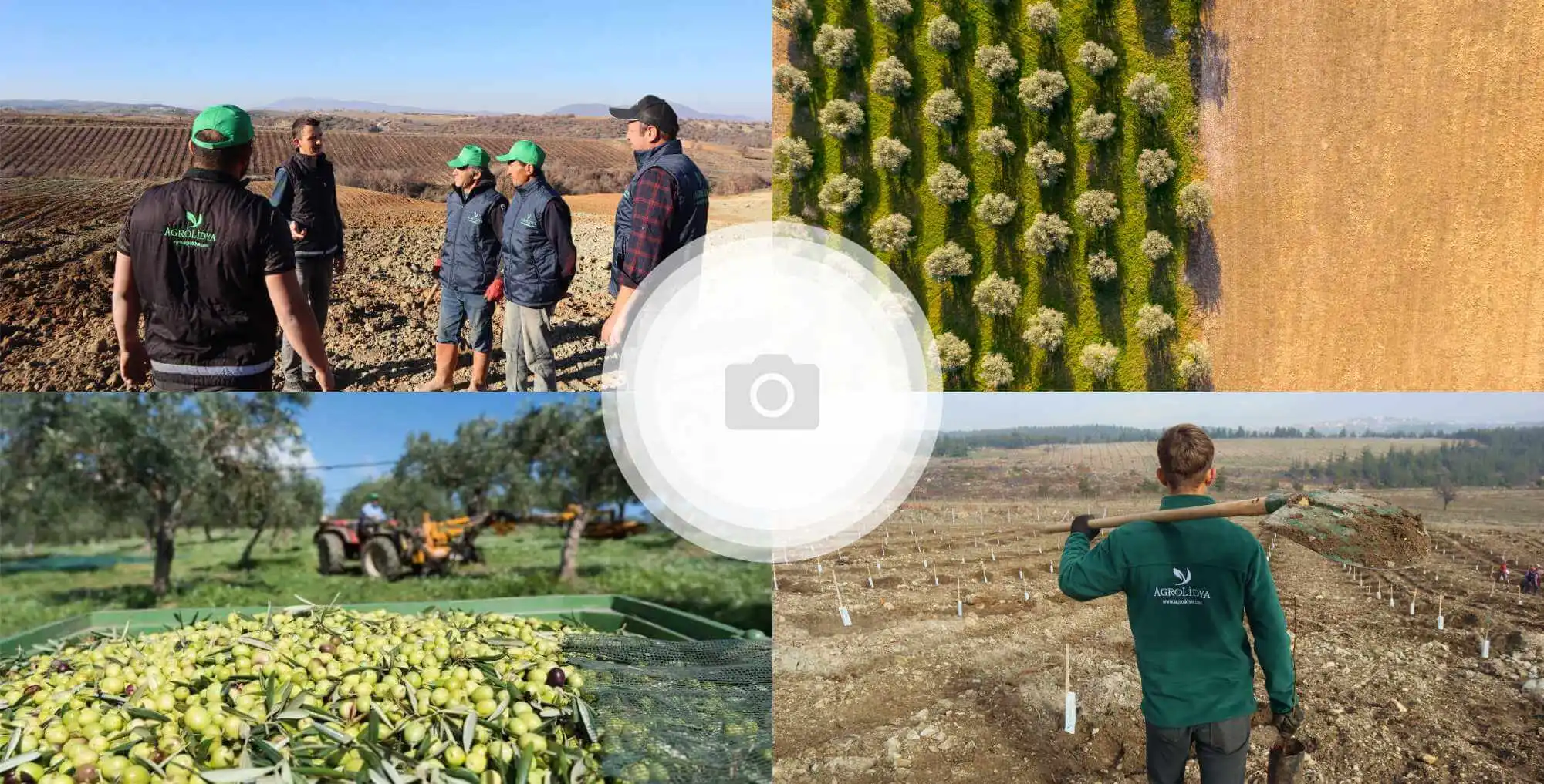 Agrolidya poultry farm investment