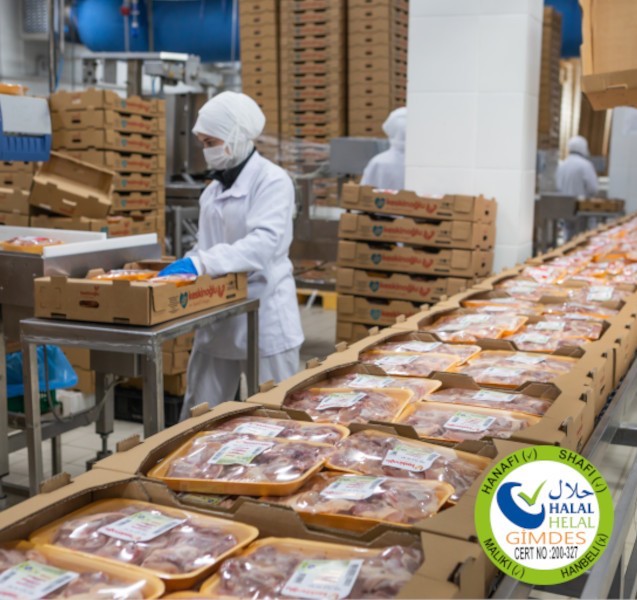 Revenue & Management Structure