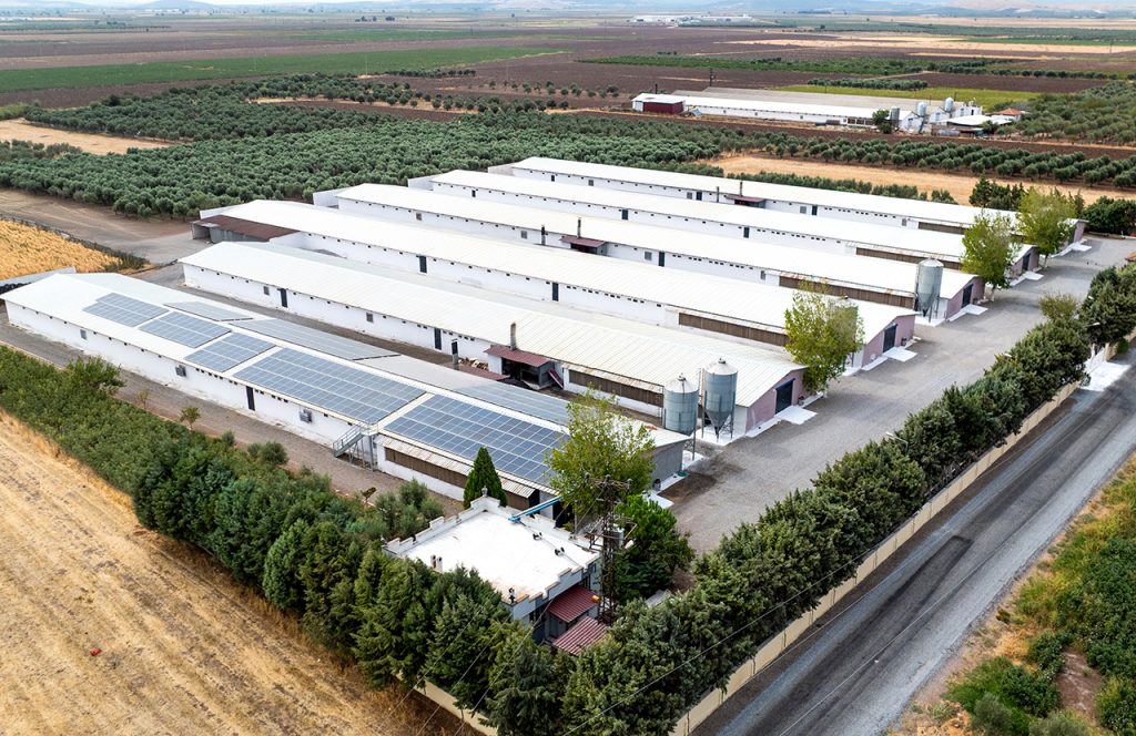 UK Poultry Farm Investment: Why Commercial Poultry Farming in the UK Remains a Strong Cash Flow Asset