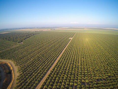 Turkish Citizenship by Farmland Investment
