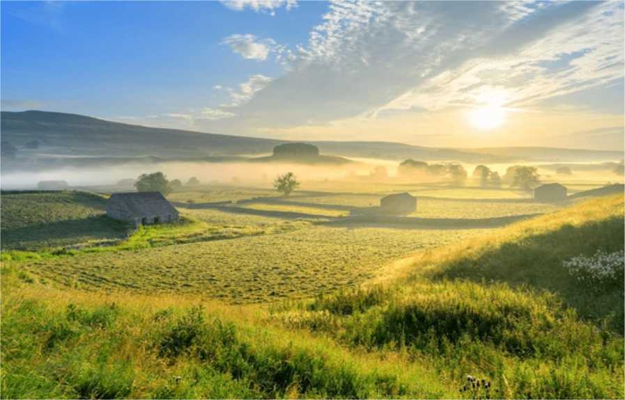 From Pastures to Profit: How Climate Change Is Redefining British Farmland Value