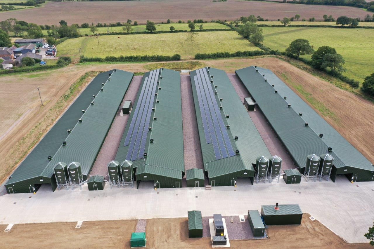 UK Broiler Unit Investment Guide 2026: Achieving 4-Year ROI