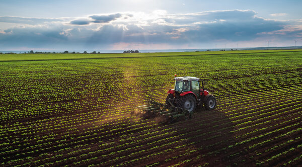 Can Foreigners Buy Agricultural Land in Turkey?
