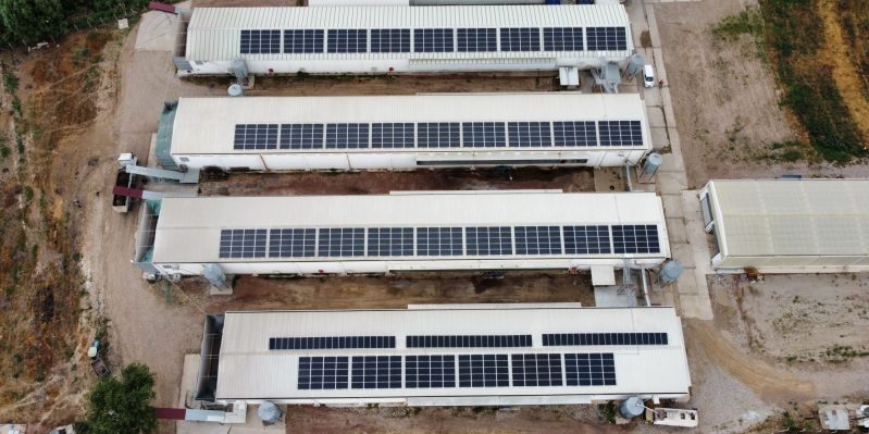Sub-4 Year ROI: The Power of Solar-Integrated Broiler Units