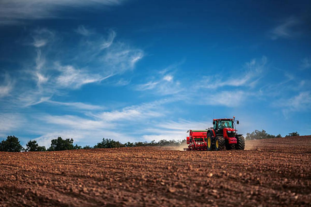 Agricultural Investment in Turkey: Unlocking Opportunities for Growth with Agrolidya