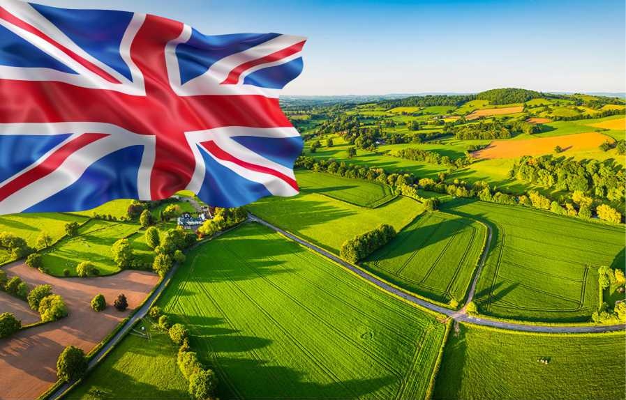 Why Agricultural Land Investment Is Becoming the Smartest Long-Term Strategy in the UK