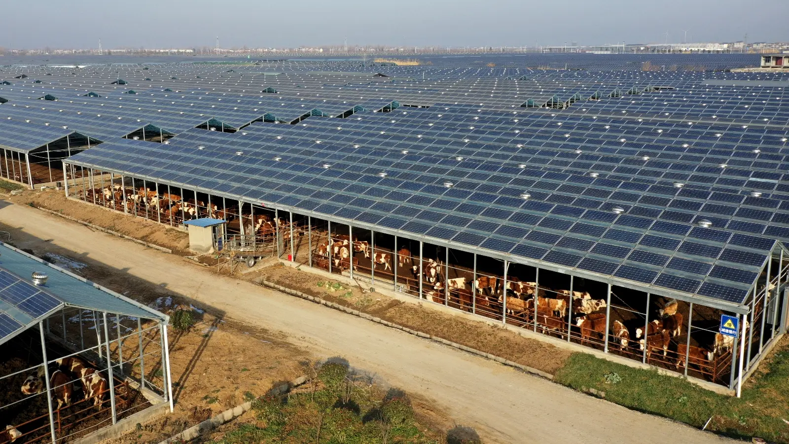Solar Farm Investment in Romania: 2026 Investor Guide & ROI