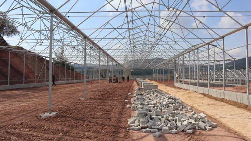 GeoThermal Greenhouse Project