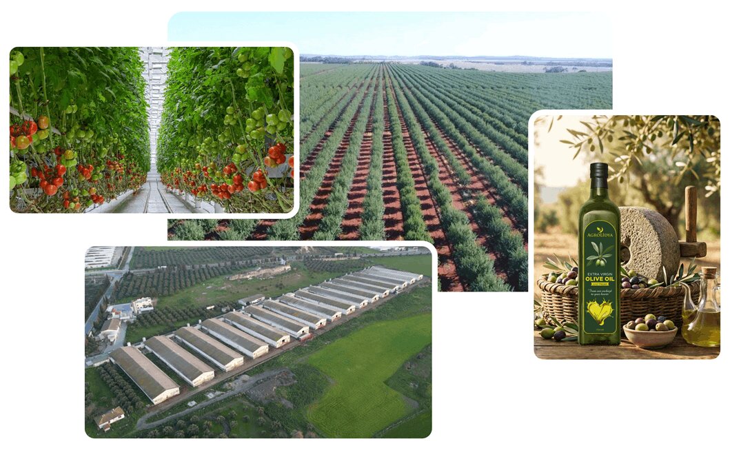Invest Agrolidya agricultural investment