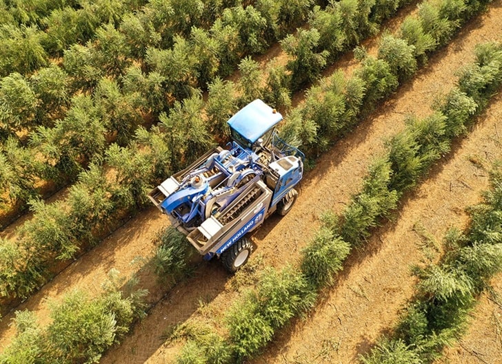 Harvest
