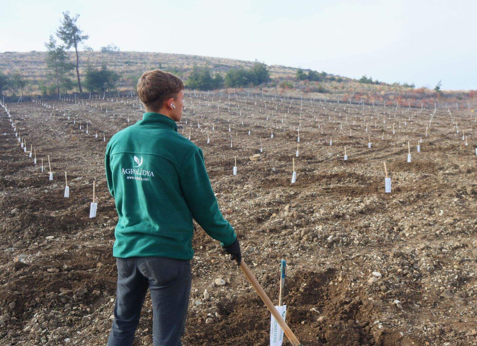 Planting