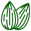 Almond Icon