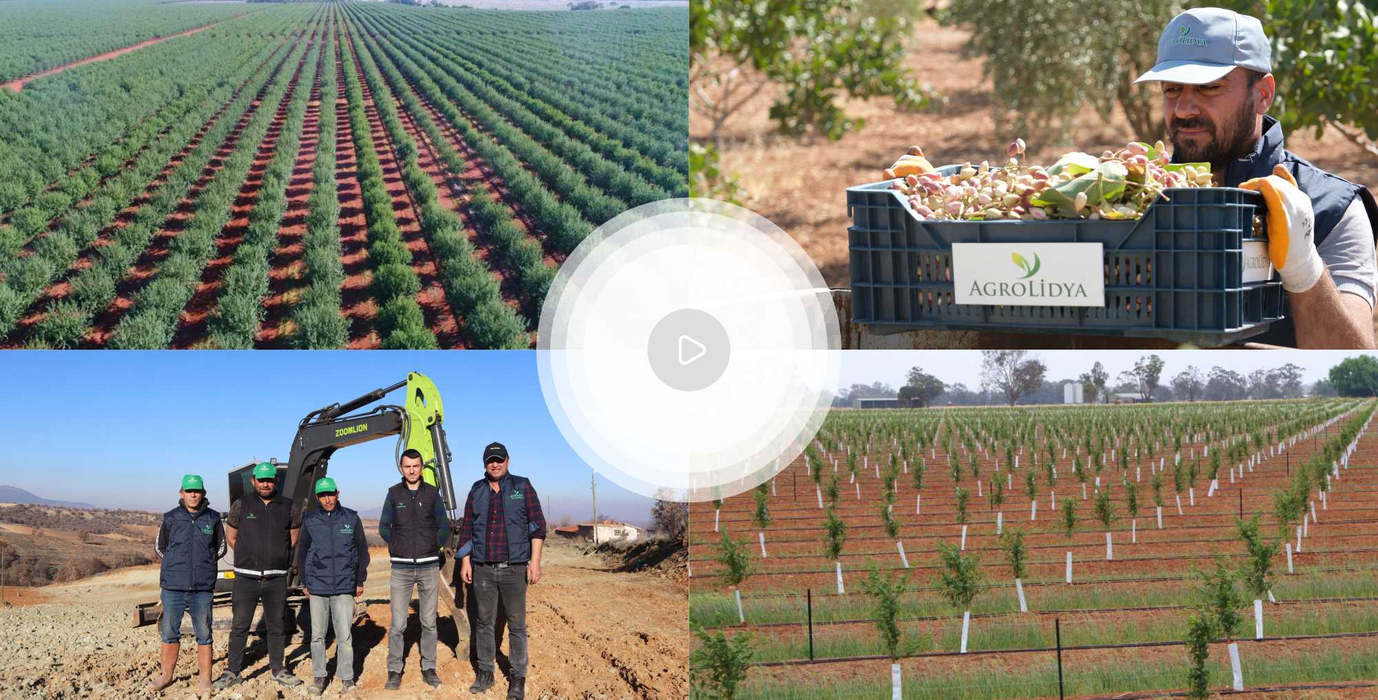 Life at Agrolidya