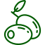Olive Icon