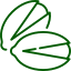 Pistachio Icon
