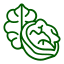 Walnut Icon