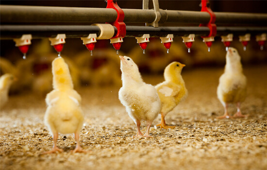 Climate control and farm automation equipment